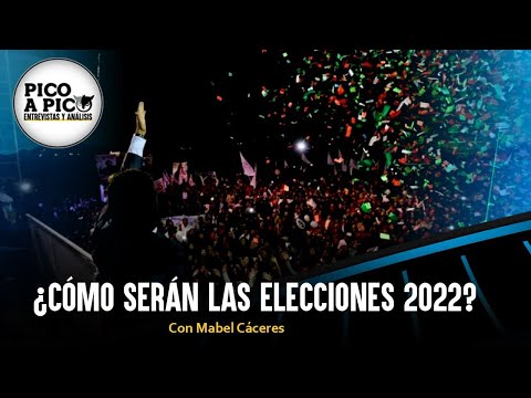 ¿Cómo serán las Elecciones 2022? | Pico a Pico