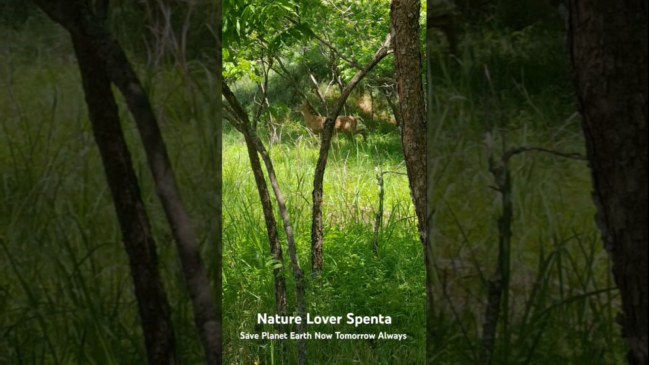 Nature Hike | Look who I Ran Into | Nature Lover Spenta | Nature Hike | Health And Fitness | Spenta