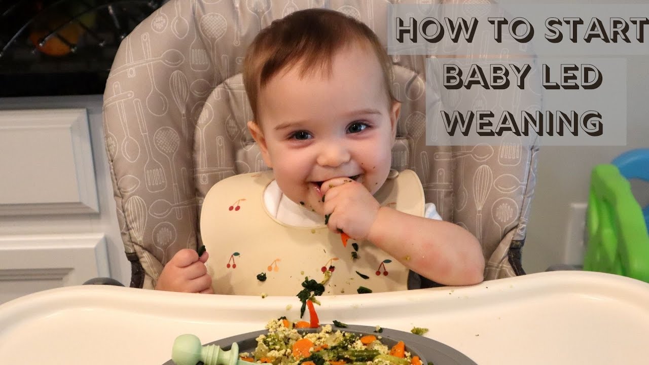 BABY LED WEANING: HOW TO START | Food To Avoid When You Are STARTING SOLIDS!