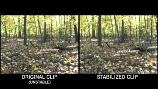 Famous Video Stabilization Net Worth
