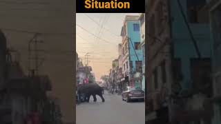 #wildliferescue #animalattack #elephantattack #elephant #elephantrescue #wildanimalattack