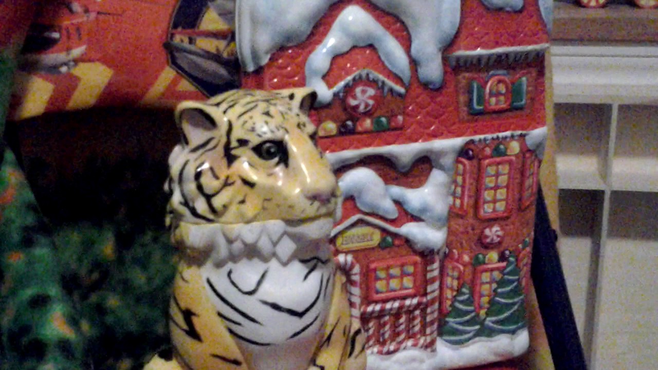 OUR FIRST VIDEO Q&A with Shawn