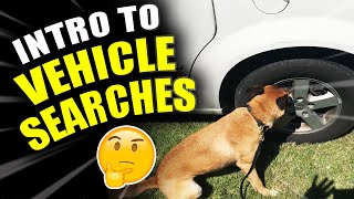 Intro to Vehicle Searches