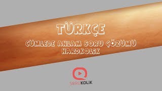 LGS Türkçe Cümlede Anlam Soru Çözümü Hardkolik