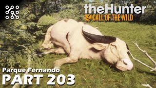 The Hunter: Call of the wild CZ | Kde lovit na Fernandu buvoly? - #203 | Česky