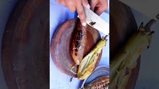 Eggplant grill for amazing food