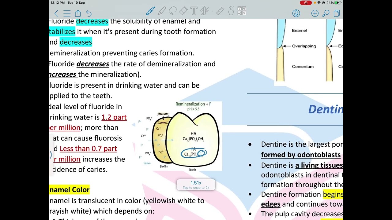 Lecture 2: Conservative dentistry