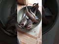 today husband catching fish