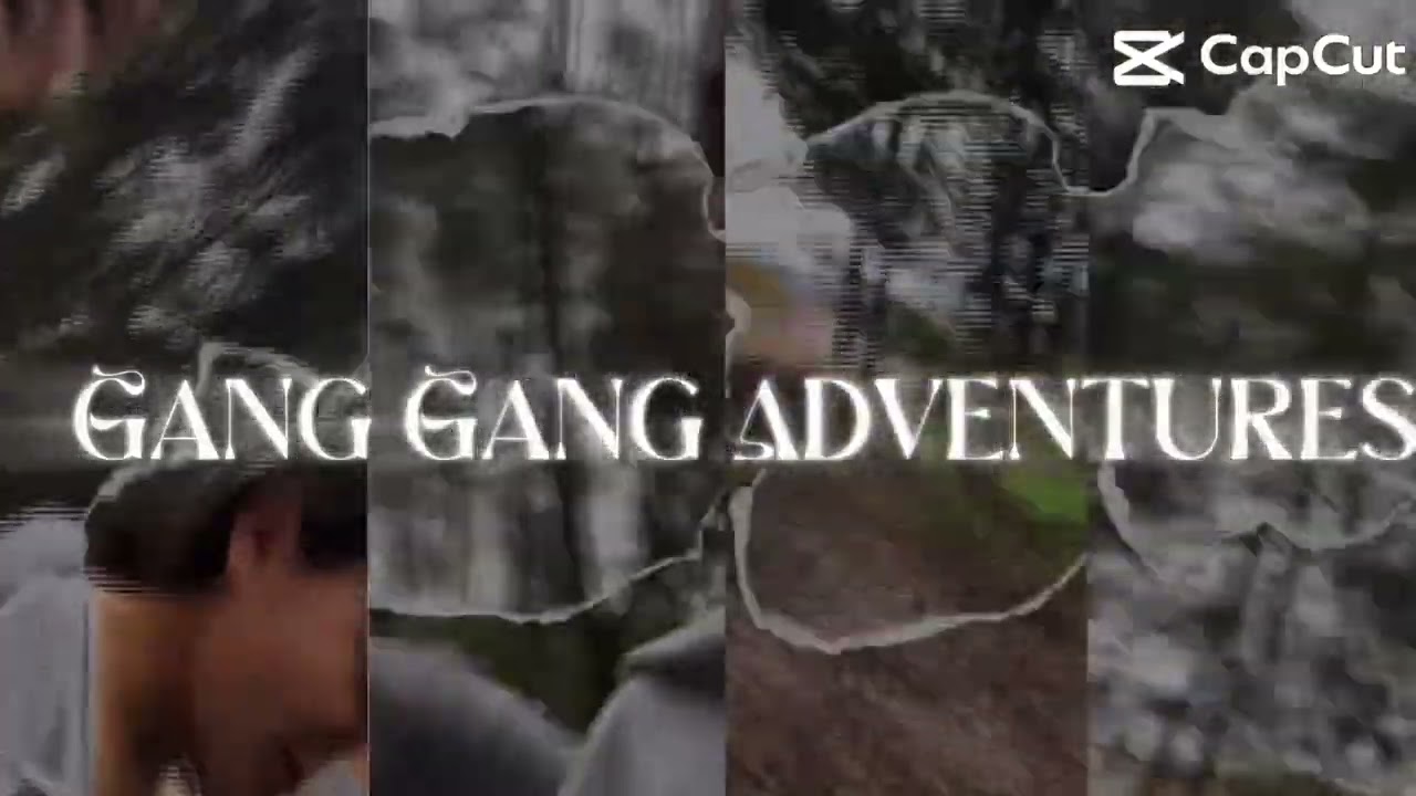 Introducing the gang of emily and eva’s chanel