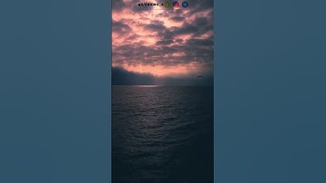 القارئ عبدالرحمن المسعودي ، سورة الذاريات