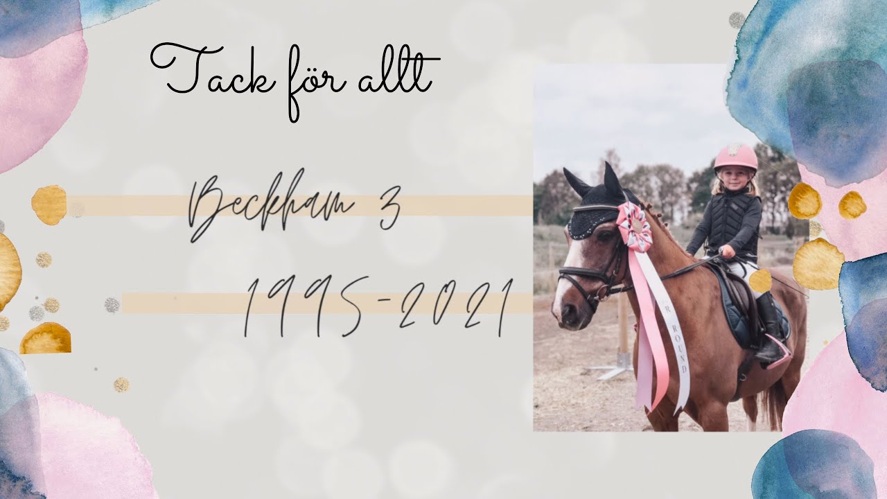 TACK FÖR ALLT BECKIS ♥︎ BECKHAM 3 1995-2021 ♥︎