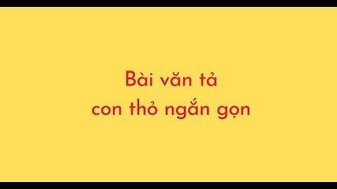 Bài văn lớp 4 tả về thỏ bông năm 2024