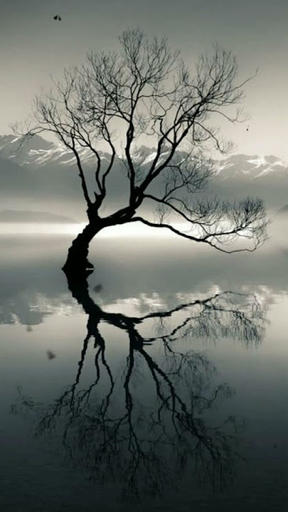 story wa screen bila cinta di dusta