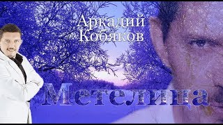 Аркадий Кобяков Метелица  (отличная песня)