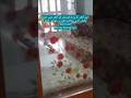 #furniturepolish #furniturepolishathome #shortvideo #ytshorts #fahmiiscookingandkitchenhacks