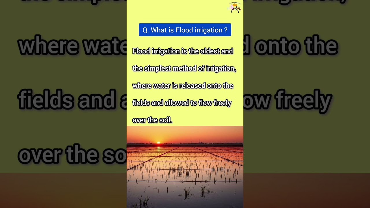 What is flood irrigation, irrigation system, irrigation engineering , ssc je civil