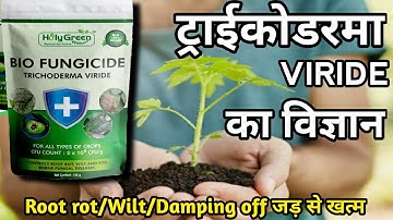 ट्राइकोडर्मा | ट्राइकोडर्मा विरिडे | जैव कवकनाशी | ट्राइकोडर्मा कवकनाशी | ट्राइकोडर्मा क्या है |