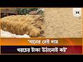 কোটচাঁদপুরের ধানের দামে হতাশ কৃষকরা | Rice Price | Kotchandpur | Samakal News