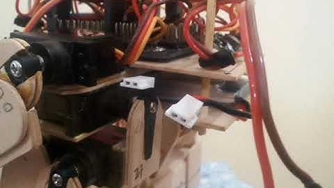 Catapult : Reverse leg bipedal robot walk.