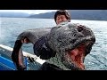 5 Shocking Fishing Moments Caught On Camera