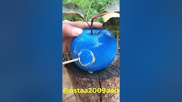 ‏(فَبِأَيِّ آلاءِ رَبِّكُمَا تُكَذِّبَانِ)   سورة الرحمن