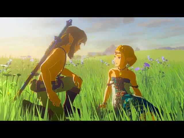 Zelda: Tears of the Kingdom - All Zelda & Link Scenes 