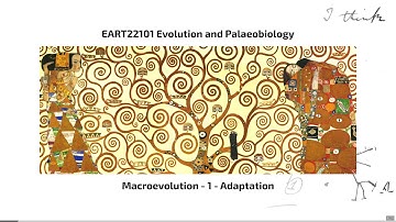 Macroevolution, Video 1 - EART22101 - Palaeobiology and Evolution - 2025