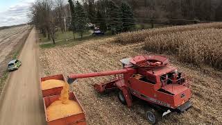 Cousin of the Red Beast - Massey Ferguson 8780 - John Penterics & Son Grain Cart #harvestchaser 4K