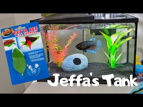very BASIC Betta