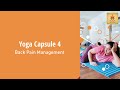 Yoga capsule 4 lower back pain management yoga  yoga wellness center