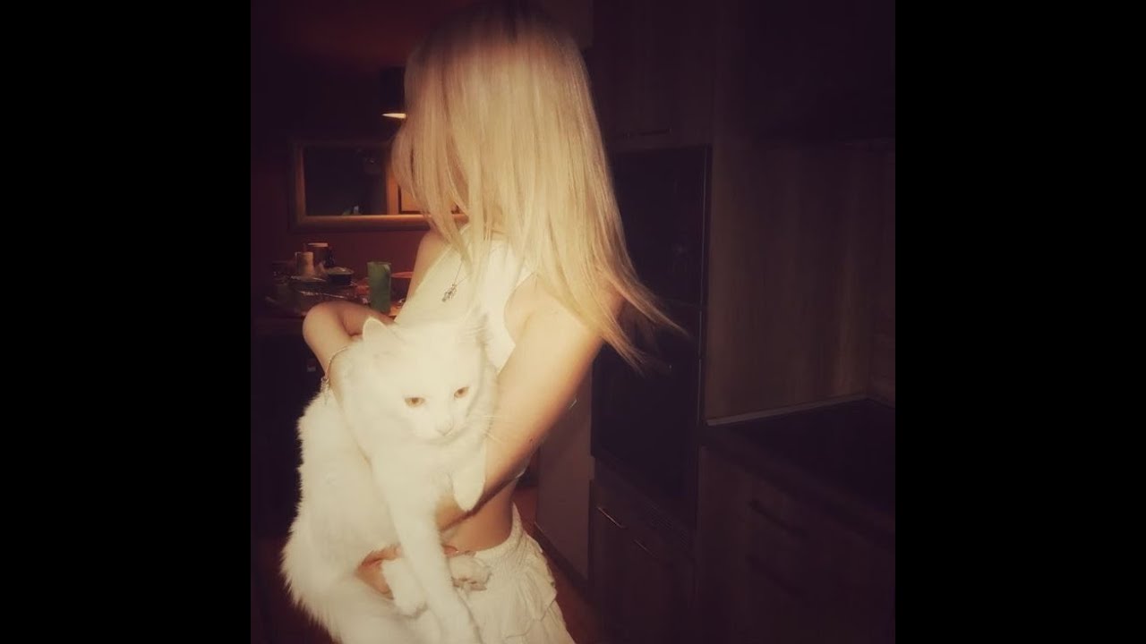 [free] destroy lonely type beat - "censor"