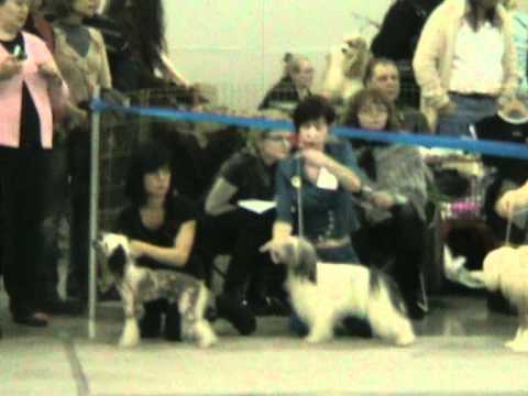 Евразия 2011-2.mpg