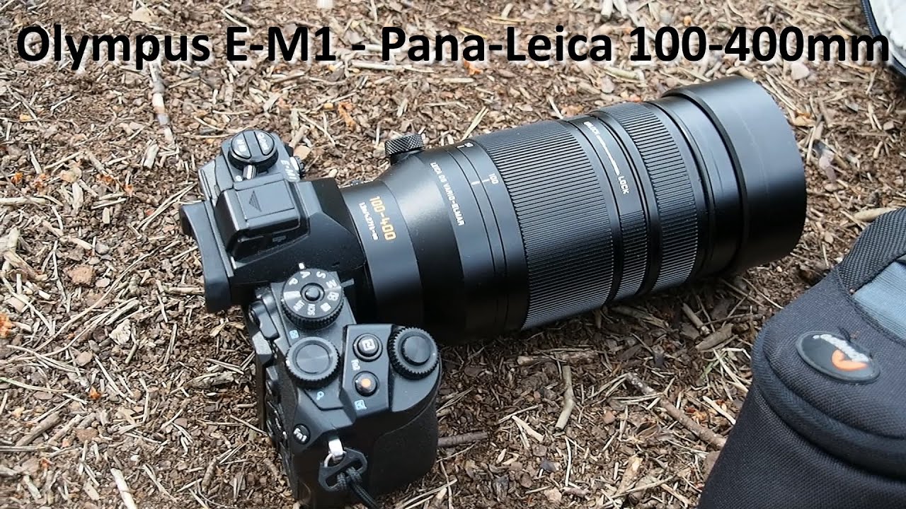 Olympus EM1 PanasonicLeica 100400 Dragonflies YouTube