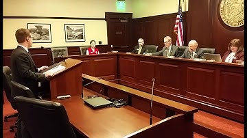 Bryce Bennett speaks to Idaho lawmakers on Uber