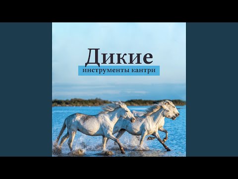 Прохладная ночь