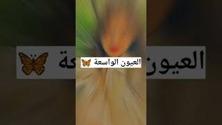 علامات جمال البنت 😫#shorts