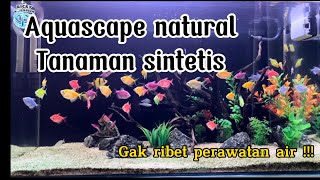 SETTING AQUASCAPE TANAMAN SINTETIS BUAT IKAN GLOFISH ;GAK RIBET KASIH PUPUK!!