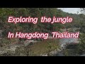 Exploring the jungle in hangdong  thailand chiang mai  ob khan national park