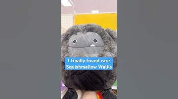 Squish hunting for Wallis the Target exclusive black Bigfoot Squishmallow #squishmallows #plush