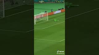 Shaqiri Goals Euro 2024 