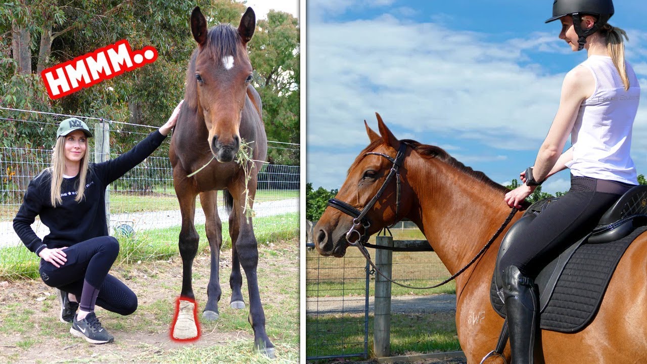 DAILY ROUTINE OF AN EQUESTRIAN! (My injured foal + horse mouthwash?!)