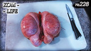 картинка: Жарим яйца ХРЯКА 