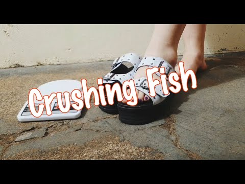 Crushing Fish Podolatria