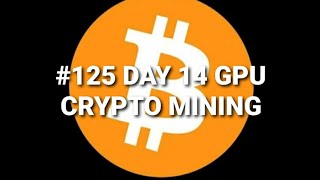 #125 DAY 14 OF GPU CRYPTO MINING