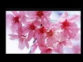Har dil jo Pyar karega ringtones