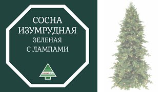 Triumph Tree - ОБЗОР искусственной сосны Изумрудная зеленая с лампами