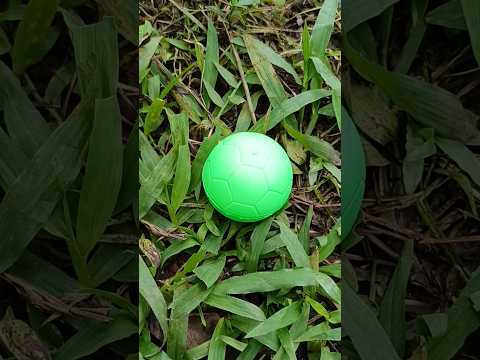 new small green