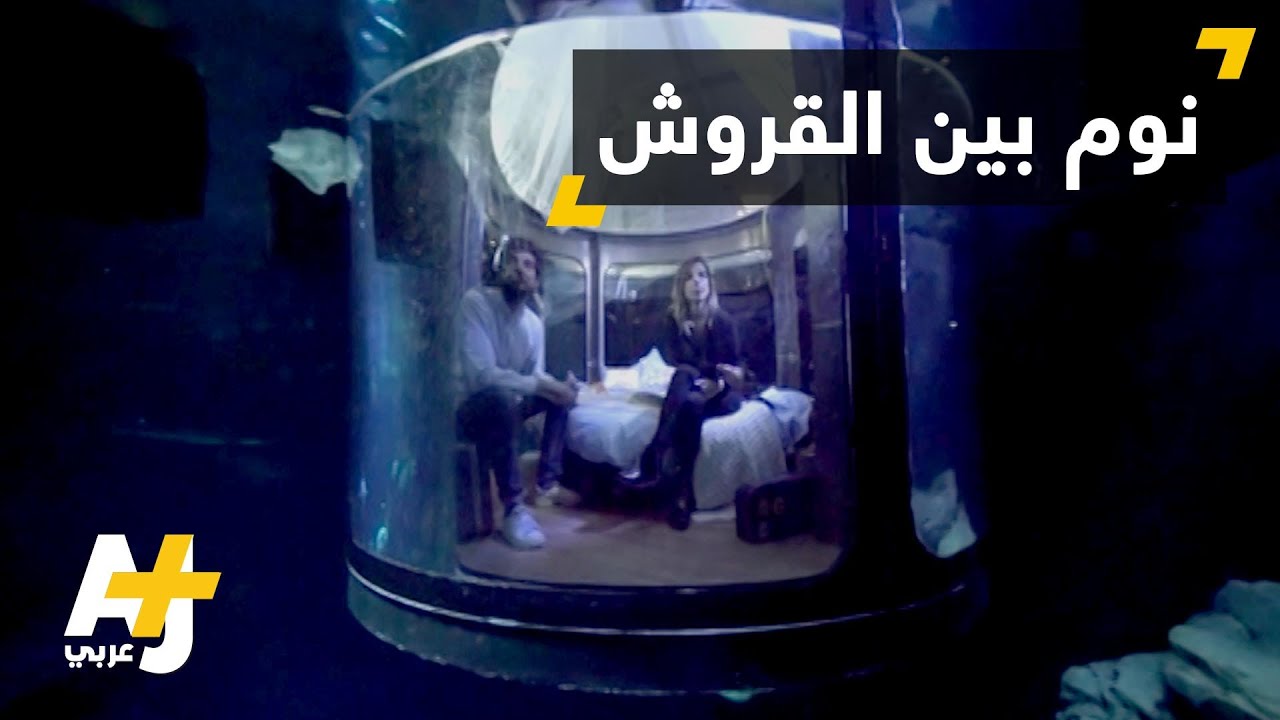 غرفة تحت الماء بين أسماك القرش YouTube غرفة تحت الماء بين أسماك القرش YouTube