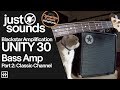 Just sounds part 2blackstar unity 30 bass amp classic channel