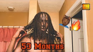 Dreadlock Journey (4 Years 5 Months)